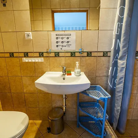 Latajacy Holender Проживание в семье *